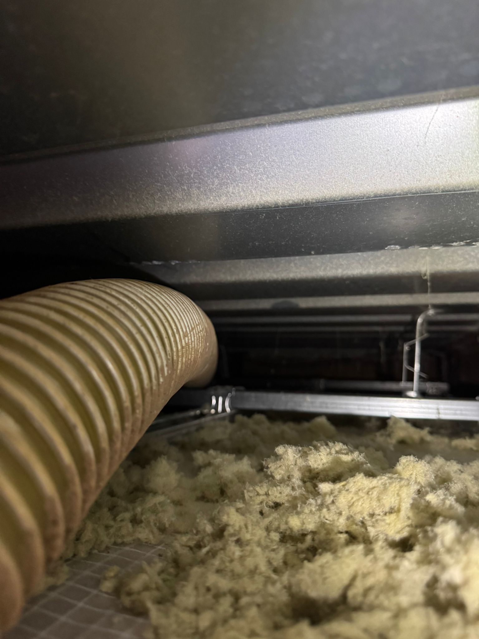 WhatsApp Image 2025-12-04 at 11.20.53 (1)